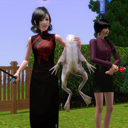 Screenshot 24
