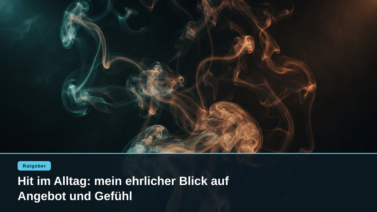 Hit im Alltag: mein ehrlicher Blick auf Angebot und Gefühl
