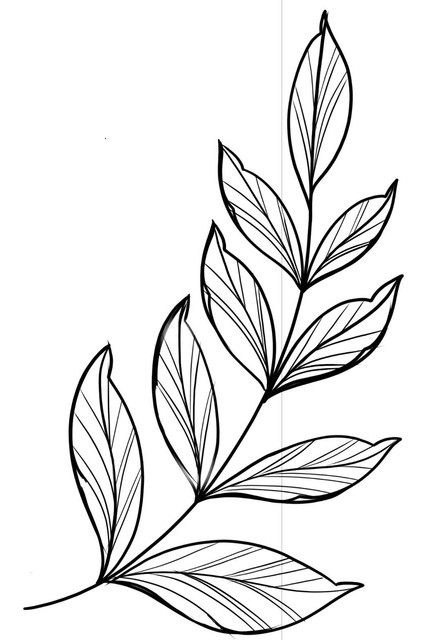 a5ce42b2f88fc166bd063fd7d6c8c06a.jpg