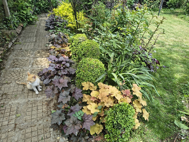 garden7.jpg