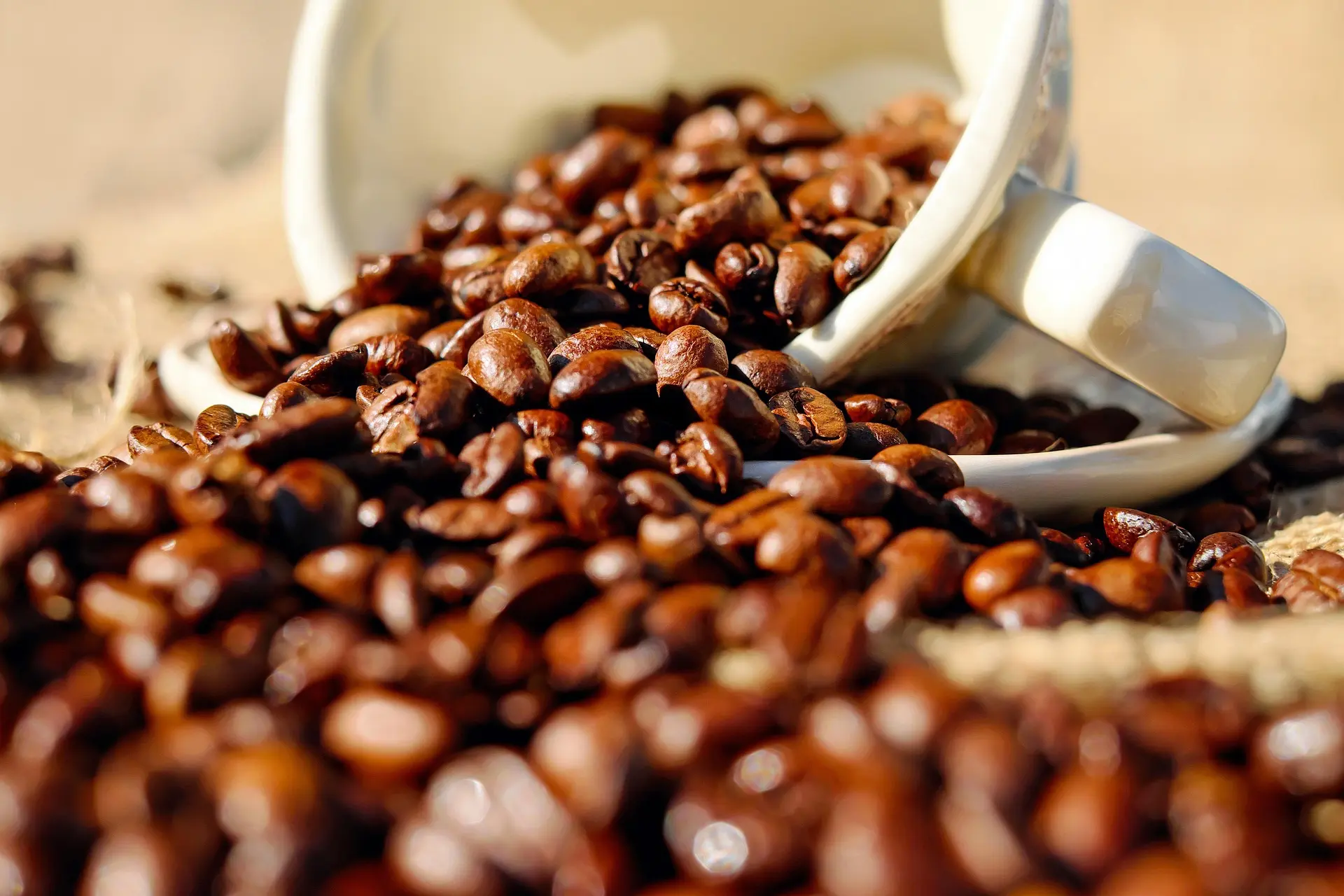 Granos de café