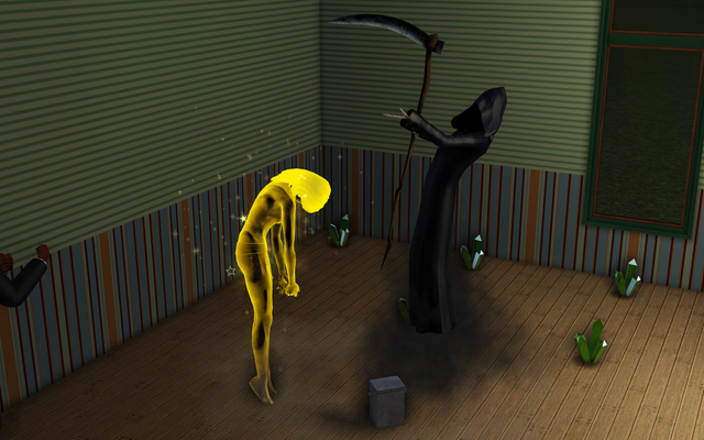 35 6.png