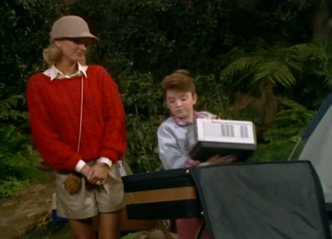 Small Wonder Screenshot