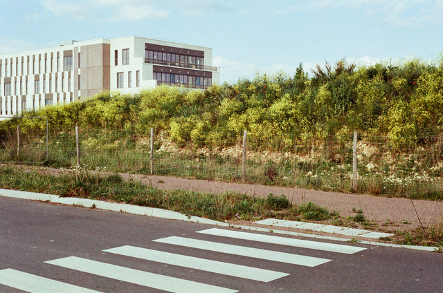 57810005.jpg