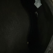 IMG 8382