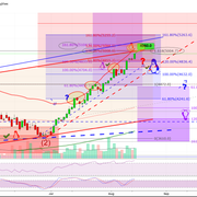 mol20260814D