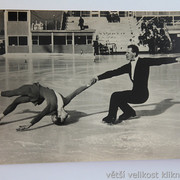 IMG-0268