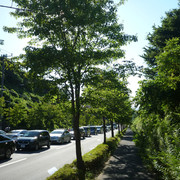 P1340159