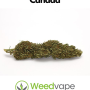 Main-Order-Weed-Canada-34