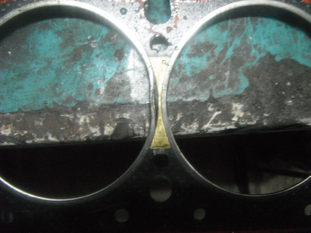 [Resim: DSCF4881.jpg]