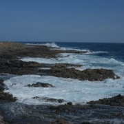 DSCF8180