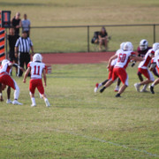 IMG-2233