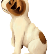211
