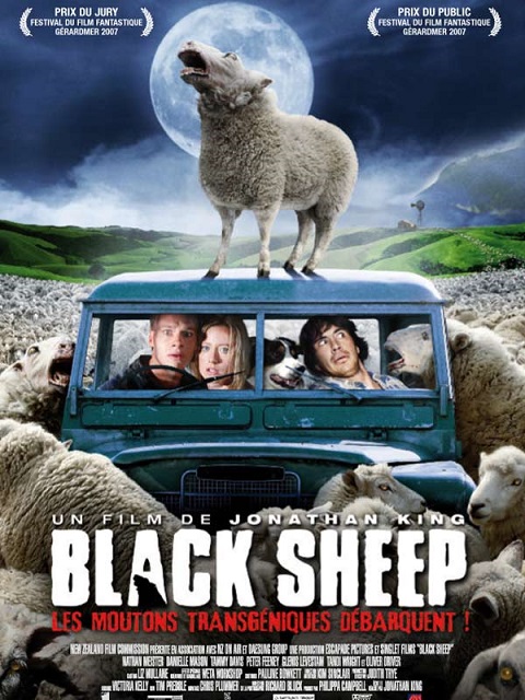 Blacksheep.jpg?042148