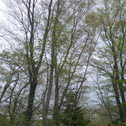 DSC-0054