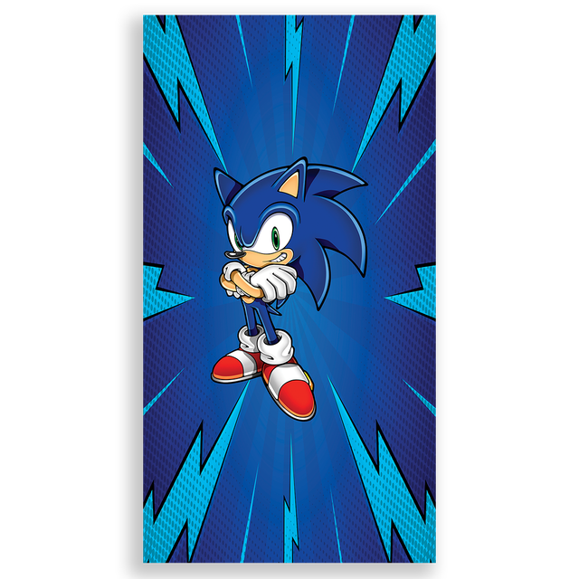 303994-Sonic