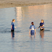IMGP4115-A