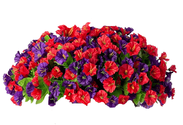 transparent.png