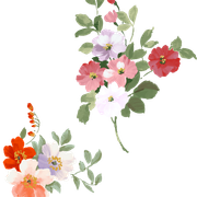 d8b40949c360bd609d62a9fbfffe0602