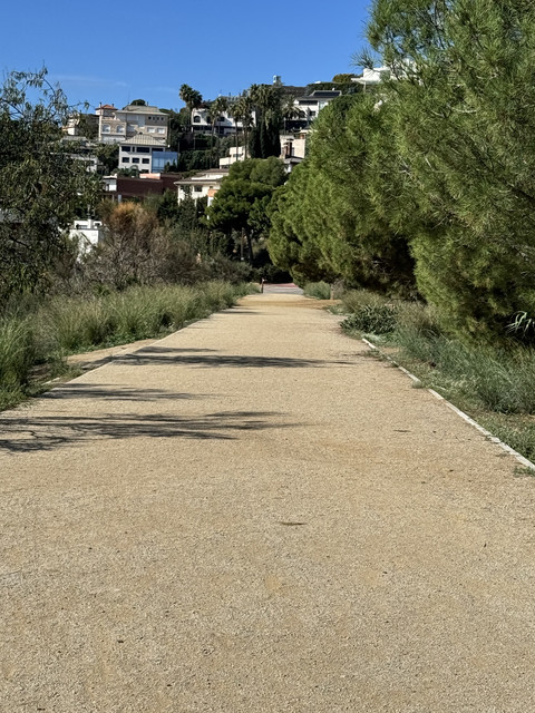 IMG-7428