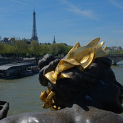 DSCF9193