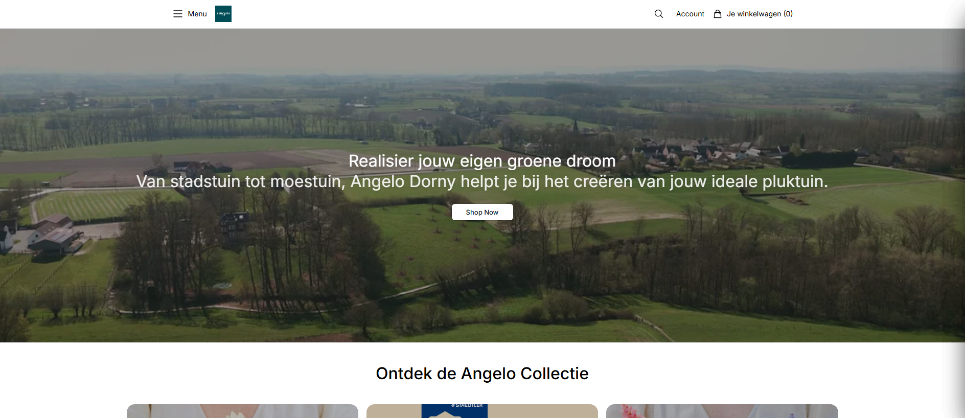 Stored capture of angeloadventure.shop