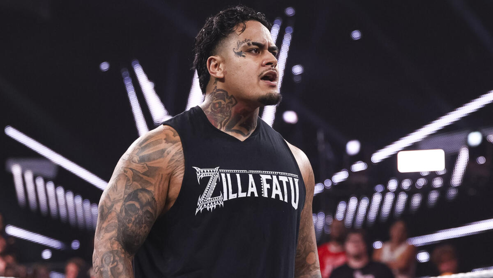 Cosas que tienes que saber sobre Zilla Fatu