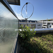 IMG-2908