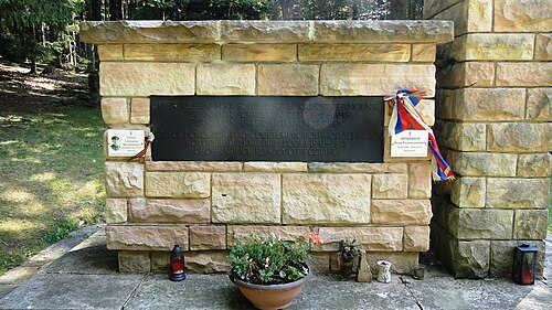 https://i.ibb.co/xS3rfXkh/image.jpg