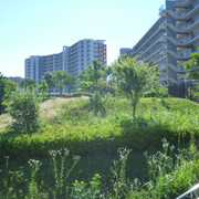 P1320152