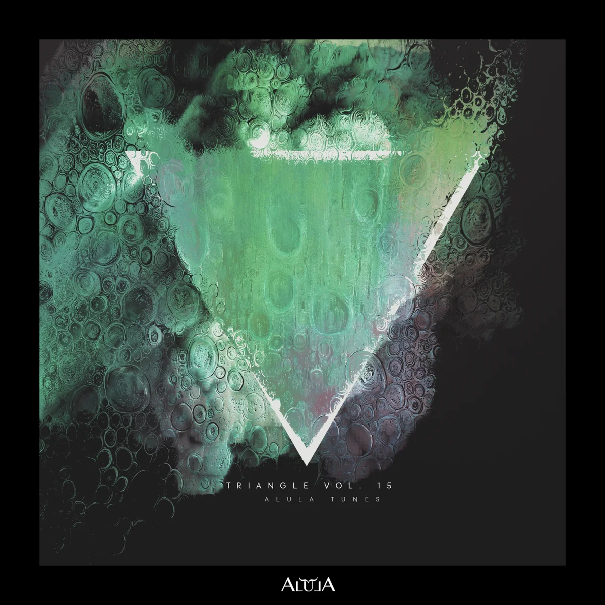 VA – Triangle, Vol. 15
