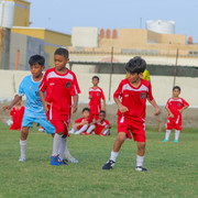 IMG 7740