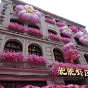 DSC09509