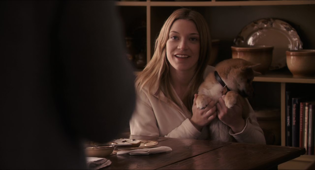 Hachi: A Dog's Tale Screenshot