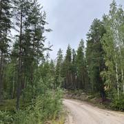 IMG 4957