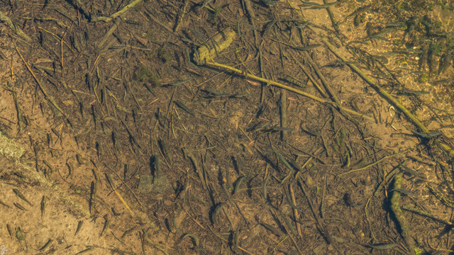 warmia d1 18.jpg