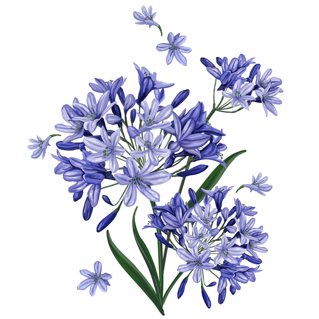 shutterstock 1125107714 (2).png