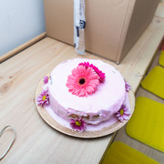 IMG-1296