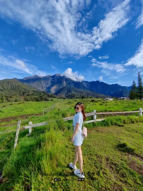 Desa Dairy Farm5.webp