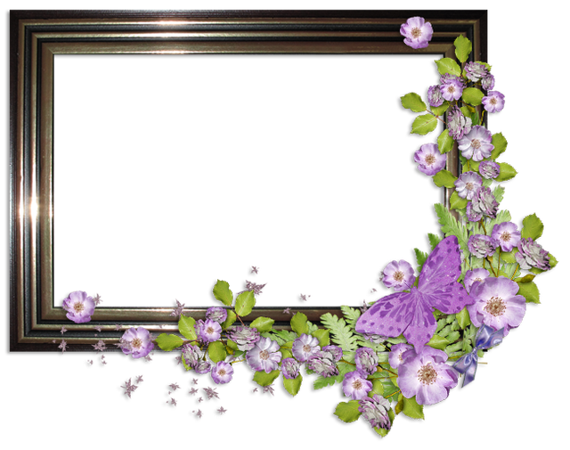 cluster-frame-11
