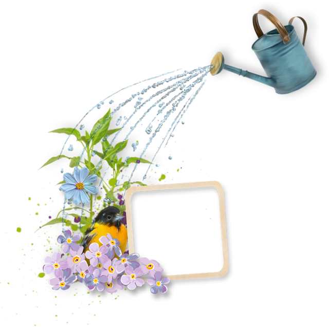 0a60606f81