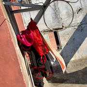 IMG20201218121407