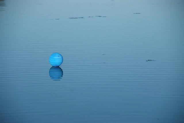DSCF0668.jpg