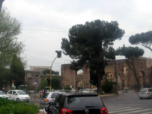 IMG-6895