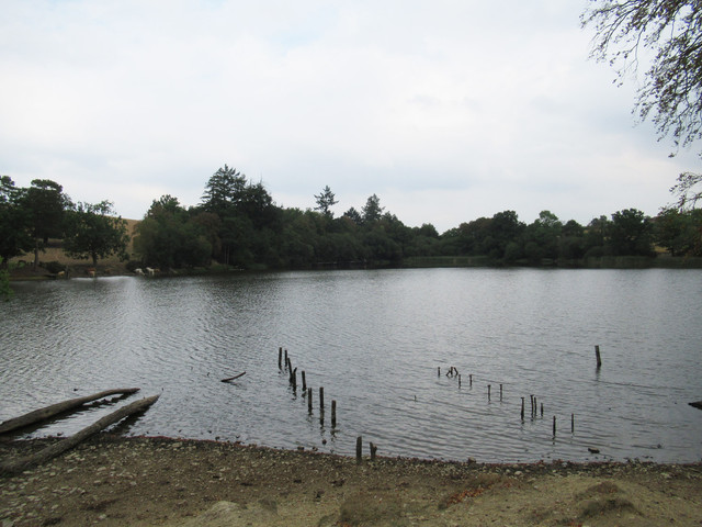 D Severn Way.jpg