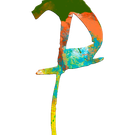 16 556966