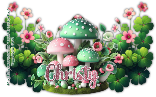 Christy RSPPbanner20TBT26 vi.png