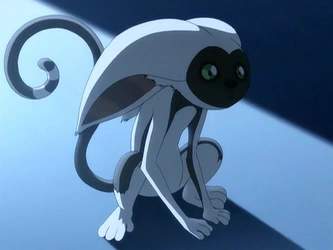 Momo.webp