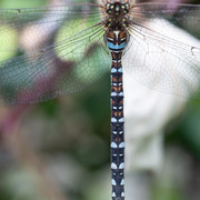 L1030816