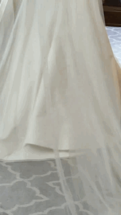 https://i.ibb.co/xSKnrtkn/IMG-2828.gif